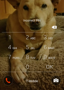 lock screen, incorrect pin, dog, emergency call