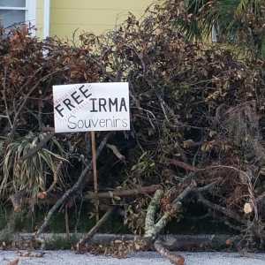 Free Irma Souvenirs sign, branches, hurricane Irma, TealAshes.com